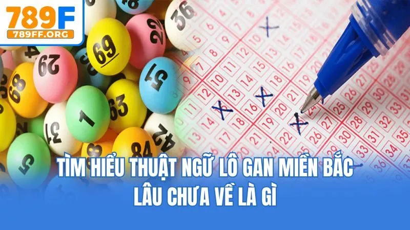 Tìm hiểu thuật ngữ lô gan miền Bắc lâu chưa về là gì