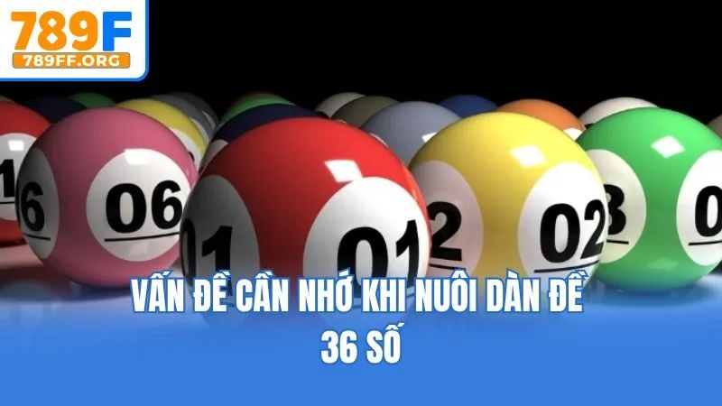 Vấn đề cần nhớ khi nuôi dàn đề 36 số