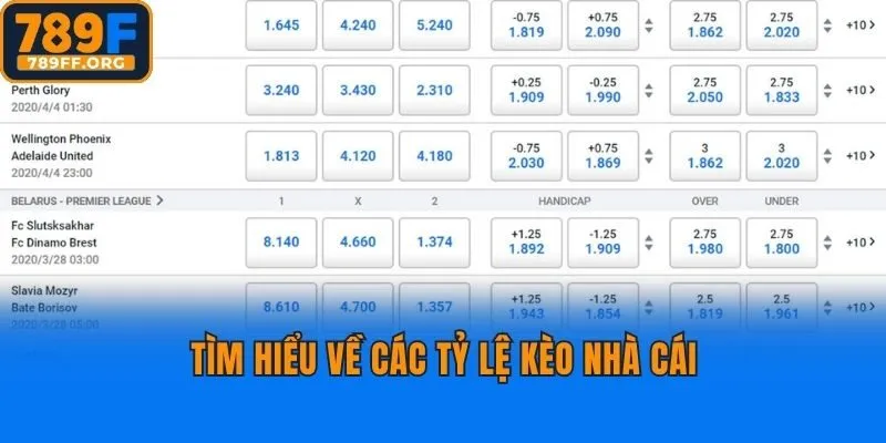 Tìm hiểu về các tỷ lệ kèo nhà cái